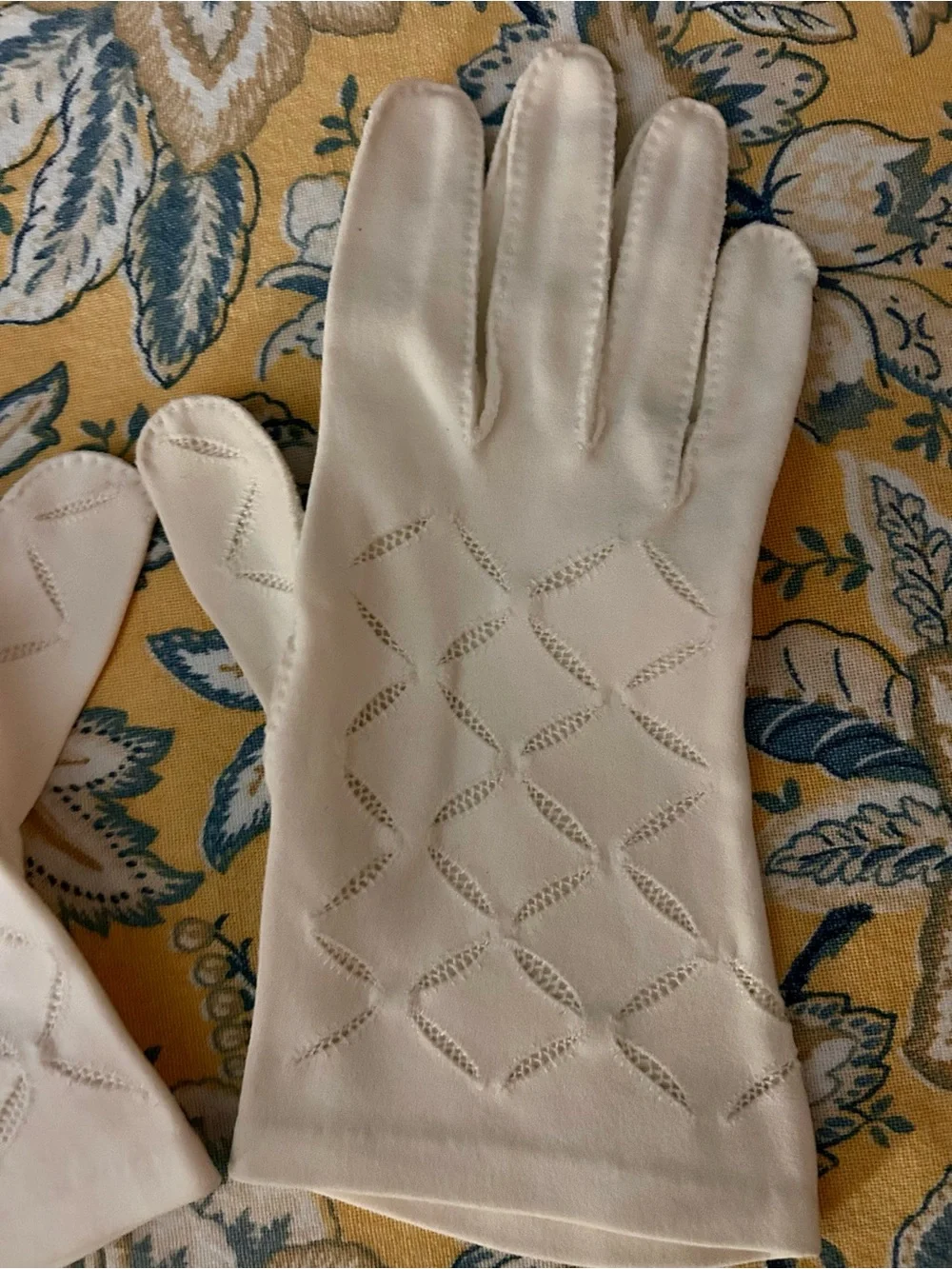 Antique Delicate Women’s Soirée Gloves